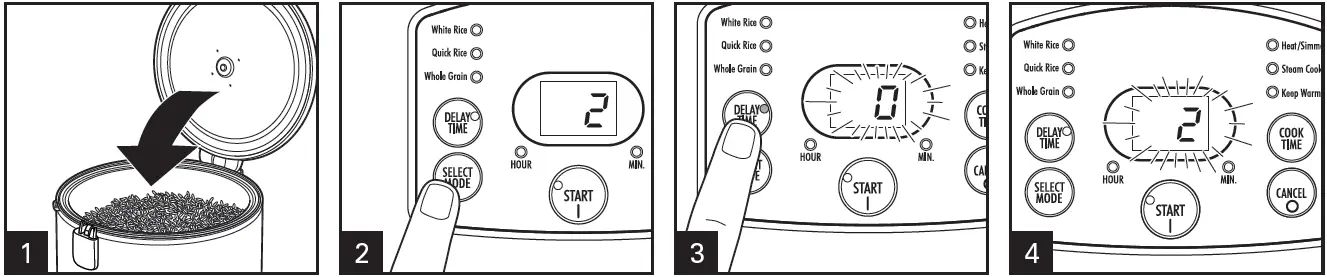 Hamilton-Beach-Rice-Cooker-Food-Steamer-fig- (8)