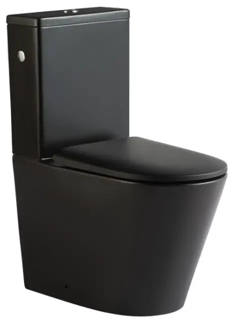 Jungborn 10259433 Floriel White Rimless Toilet Combination 1