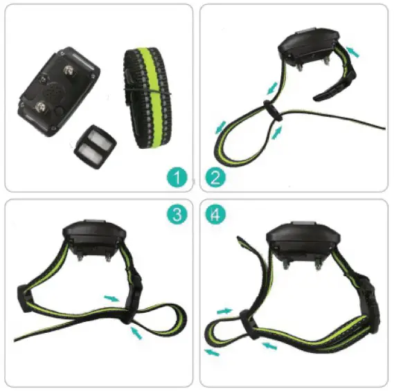 Fit the Receiver Collar