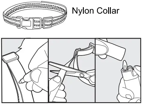 Fit the Receiver Collar