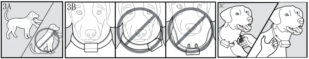 Fit the Receiver Collar