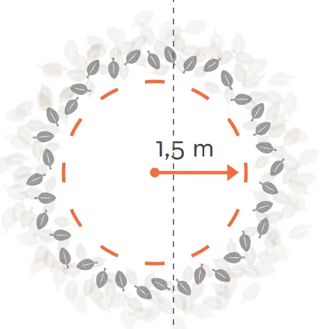 Assembly Instruction