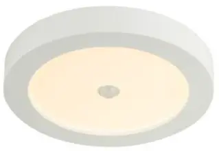 Paulmann-945-28-Outdoor-Ceiling-Light-PRO