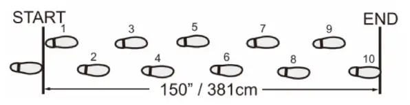 SPORT-THIEME 291 0202 Pedometer 2GO 3D Active 4