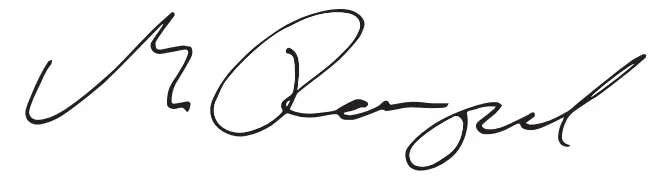 DEWALT DWD530 Speed Percussion Drill  - Sing.