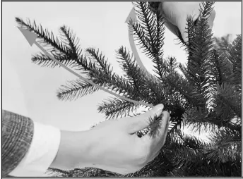 EKVIP 022515 Christmas Tree A7