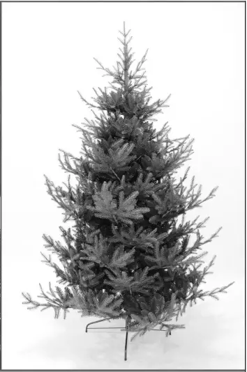 EKVIP 022515 Christmas Tree A8