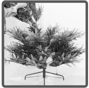 EKVIP 022515 Christmas Tree B3