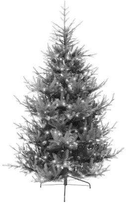 EKVIP 022515 Christmas Tree B6