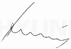 HYUNDAI 56251 Cut Saw with Laser - Signeture