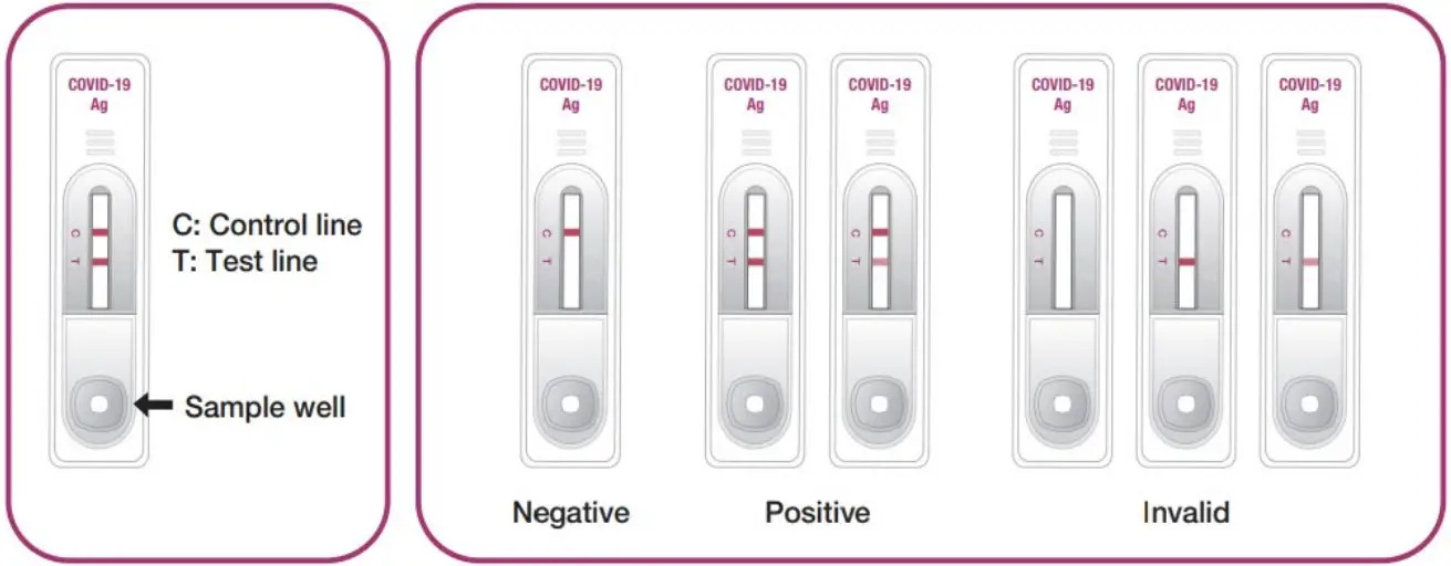 GenBody COVID 19 Antigen Rapid Test - RESULTS