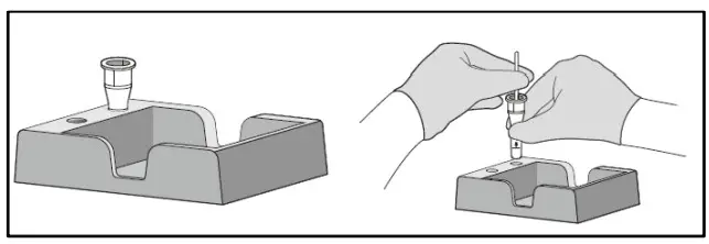 GenBody COVID 19 Antigen Rapid Test - collecting