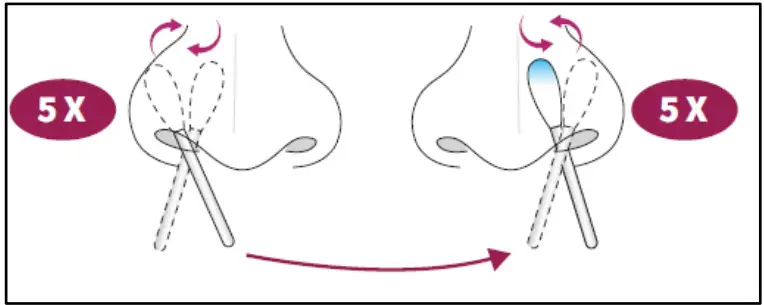 GenBody COVID 19 Antigen Rapid Test - swab sample