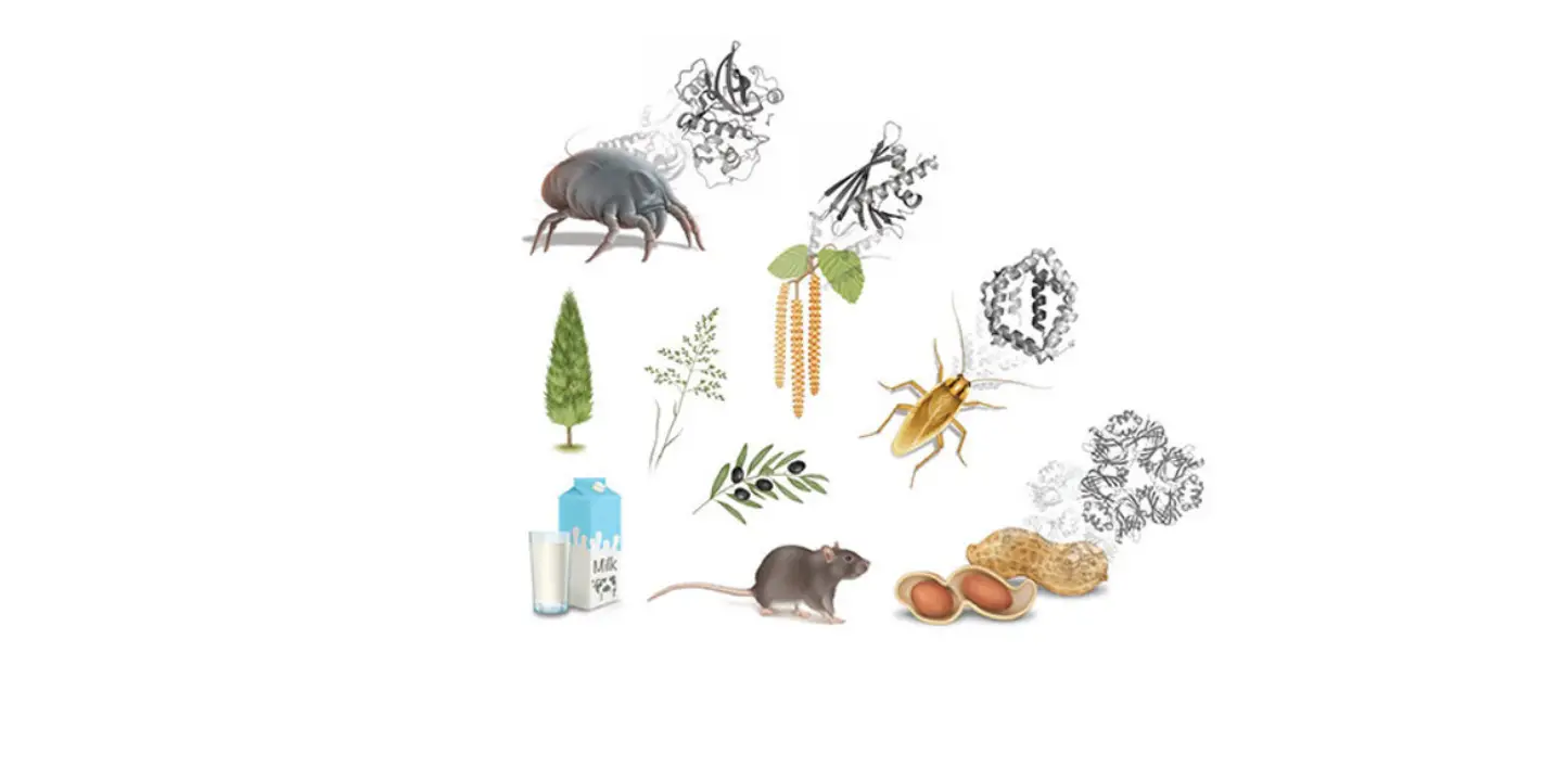 Eaaci 2.0 Molecular Allergology User Guide