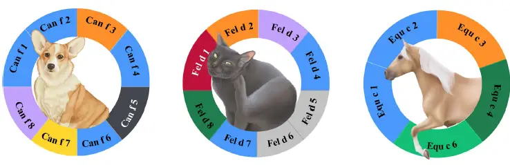 EAACI-20-Molecular-Allergology-fig- (2)