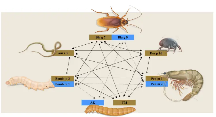 EAACI-20-Molecular-Allergology-fig- (3)