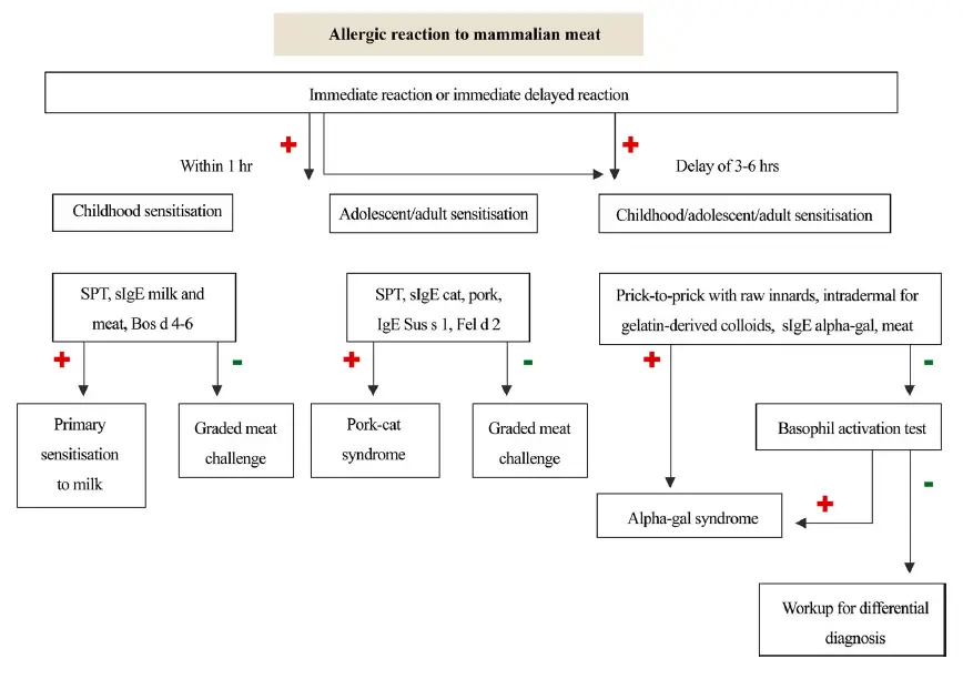 EAACI-20-Molecular-Allergology-fig- (4)