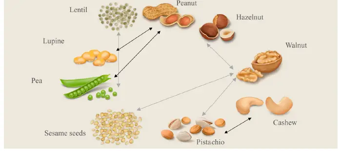 EAACI-20-Molecular-Allergology-fig- (5)