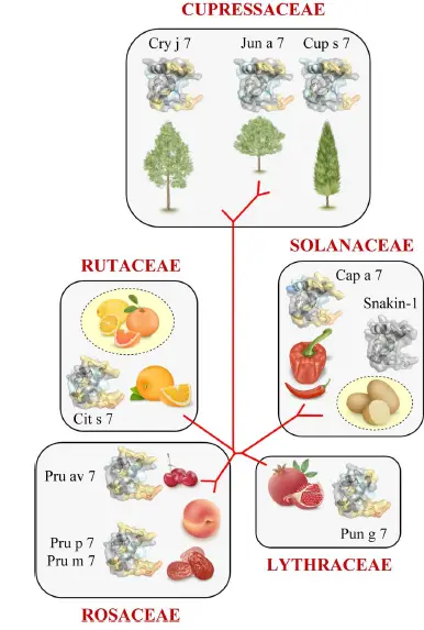 EAACI-20-Molecular-Allergology-fig- (5)