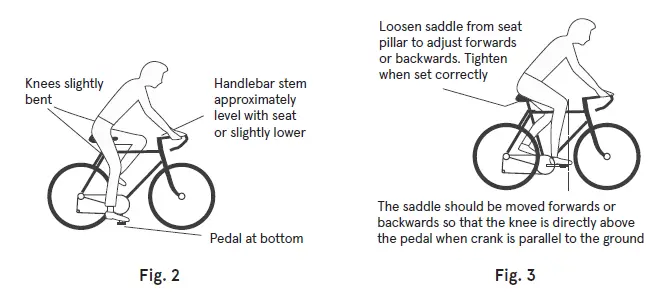 retrospec-350W-Chatham-Electric-Beach-Cruiser-Bike-fig- (2)