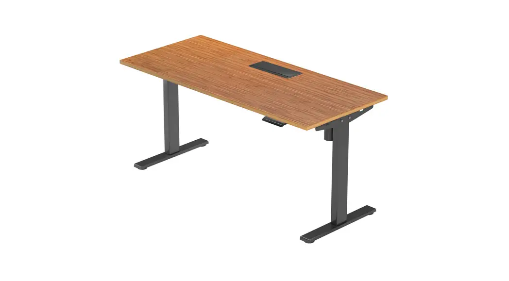 Odinlake S450 Electric Standing Desk User Guide Odinlake S450 Electric Standing Desk User Guide