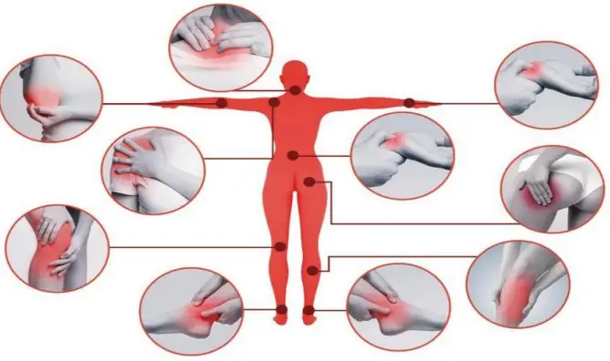 Cameco ZF FR A01 Electric Heating Pad - Figure 1