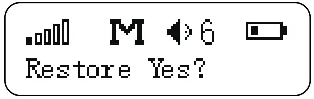 BOYA PA BY XM6 Series Ultracompact 2 4GHz Dual Channel Wireless Microphone System - ICON 22