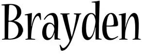 Brayden logo