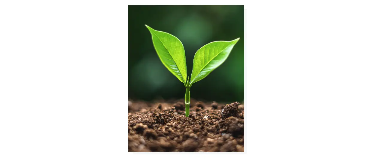 Callminer Continuum Maturity Scale Owner's Manual