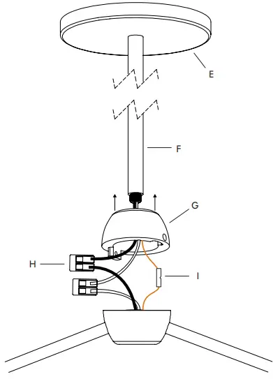 ROLL HILL Modo Pendant 2 Globe Pendant Lamp-FIG- (8)