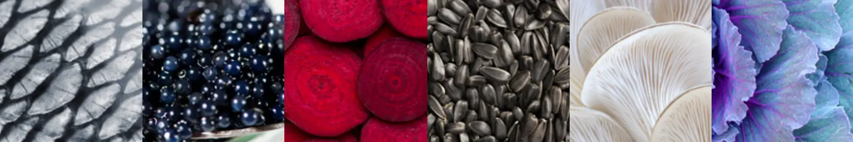 steel AQ10SF 6W BA C Ascot 100 100cm Upright Cooker with 70 liter Comb Steam Oven - fig