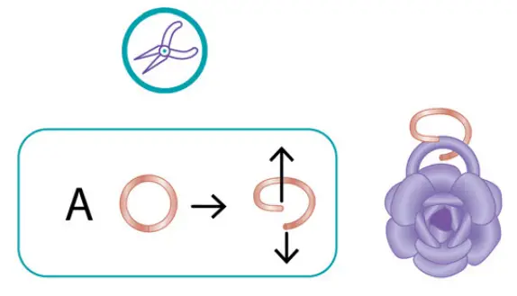 make it real 1202 Bedazzled Charm Bracelets - flat surface8