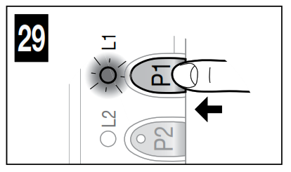 Nice Aria200 Swing Gate Automation - CONTROL