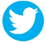 Twetter Icon