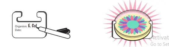 amino Keep-It Kit -Fag 5