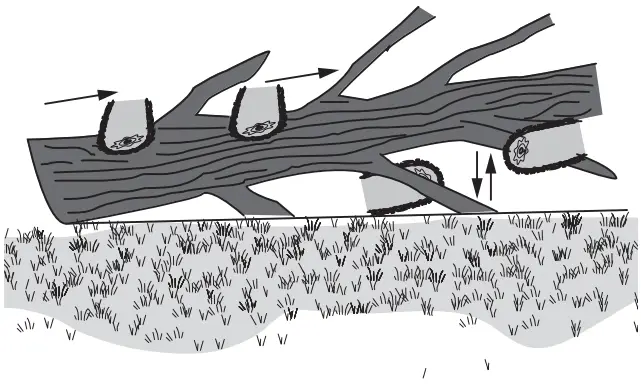 DEWALT DCMCS574 XR FlexVolt Brushless Cordless Chainsaw - Limbing