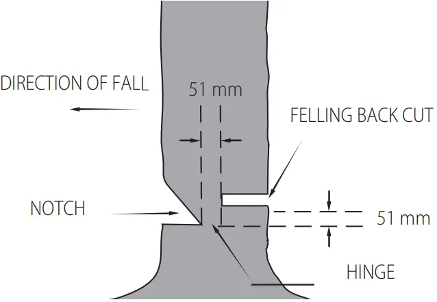DEWALT DCMCS574 XR FlexVolt Brushless Cordless Chainsaw - path planned