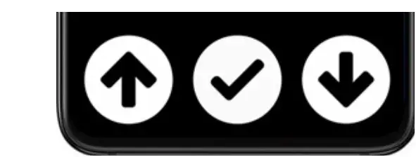 VoxiVision Reader Label Recorder-fig6