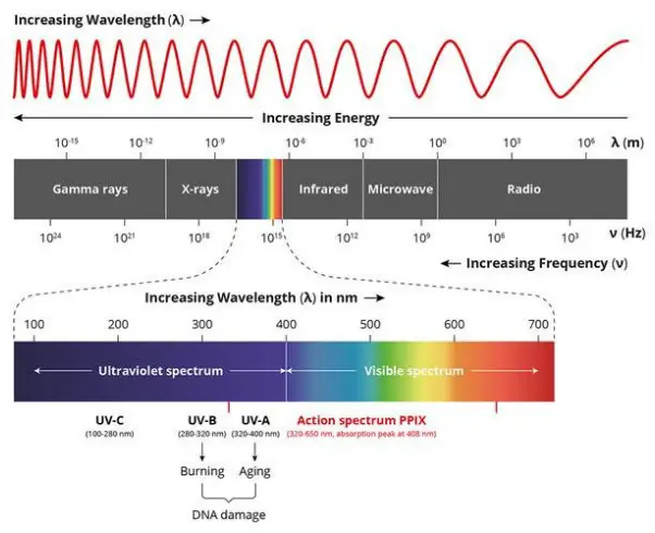 mito red light MitoADAPT Series Light Therapy Devices - Fig8