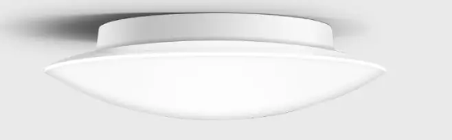 BEGA-50 038-Ceiling-and-Wall-Luminaire-PRODUCT-IMAGE