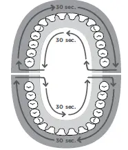 WaterPik-STW-Sensonic-Toothbrush-fig- (8)