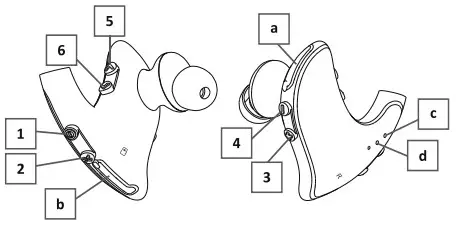 Outlook and Controls
