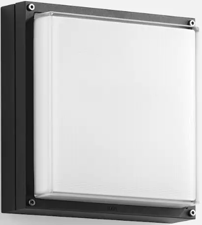 BEGA 33 036 Square Ceiling and Wall Luminaire