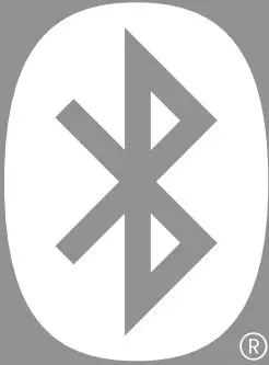 Bluetooth icon