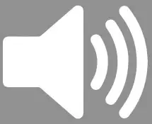 Volume icon