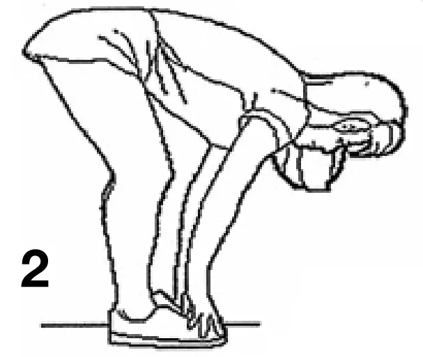 Training Instructions