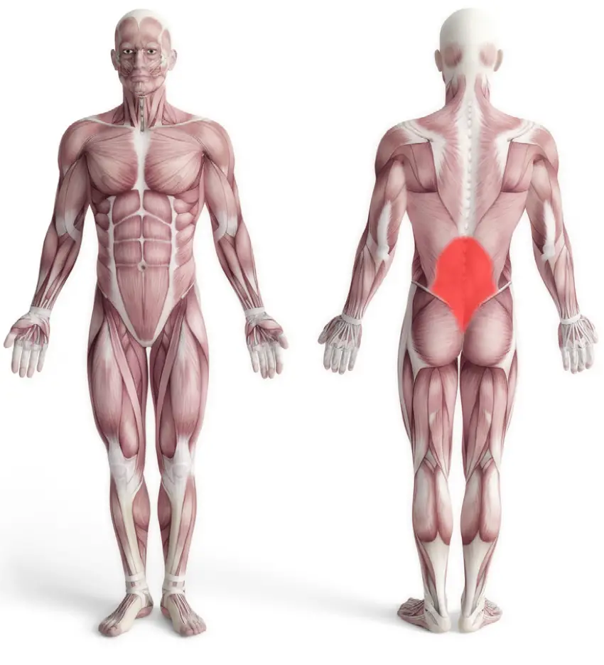 Training Instructions