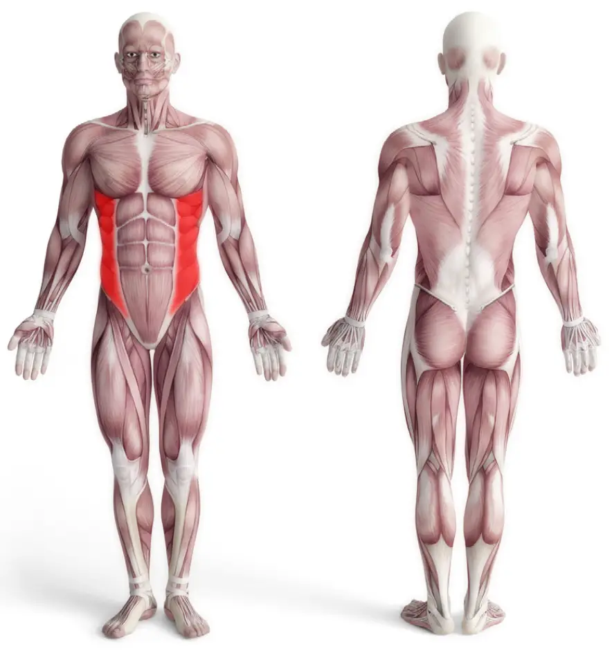 Training Instructions