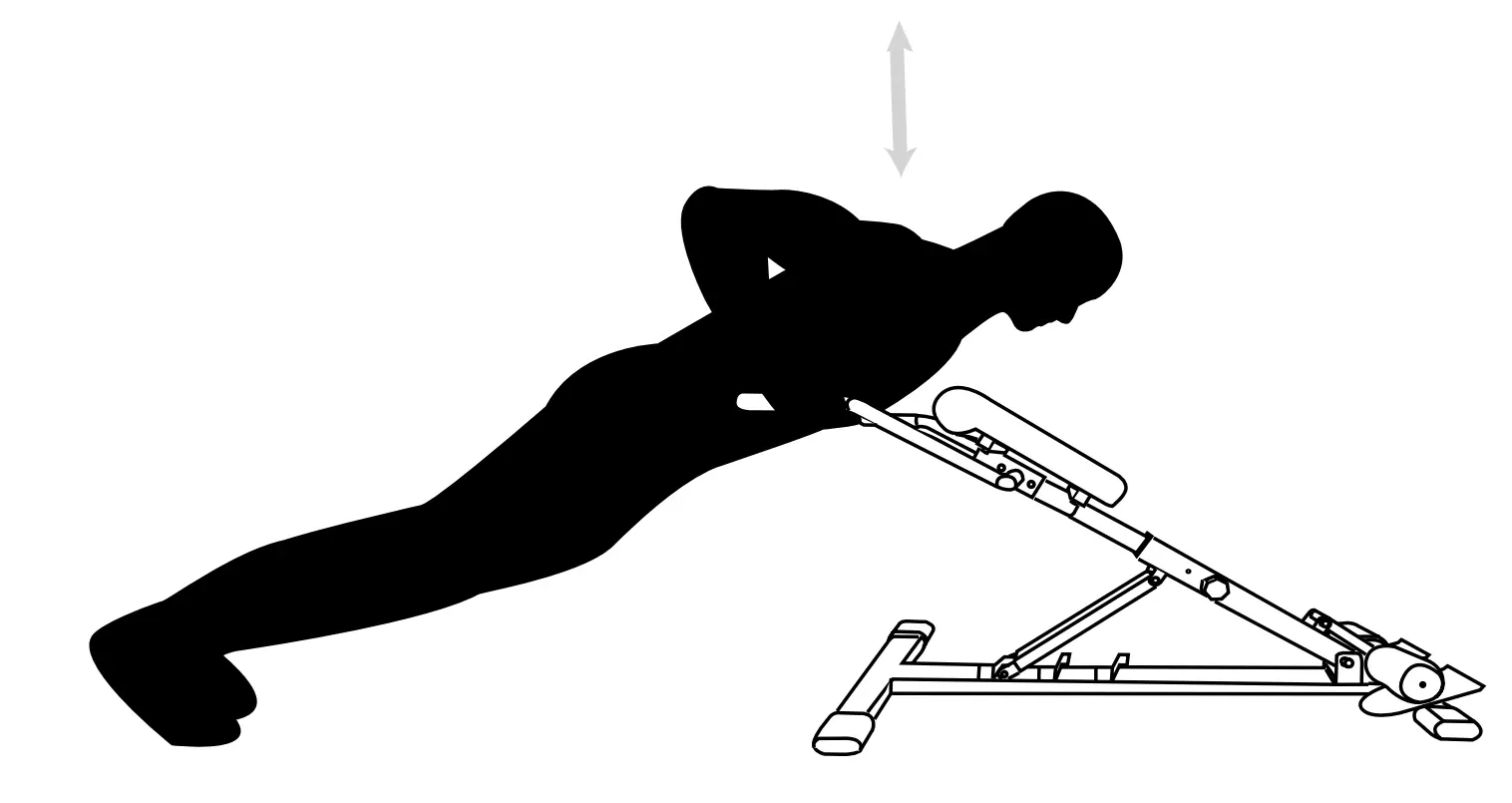 Training Instructions