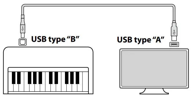 KAWAI CA401 Digital Pianos - simultaneously